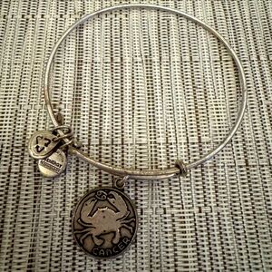Alex and Ani 2013 Silver Cancer Zodiac Charm Bracelet